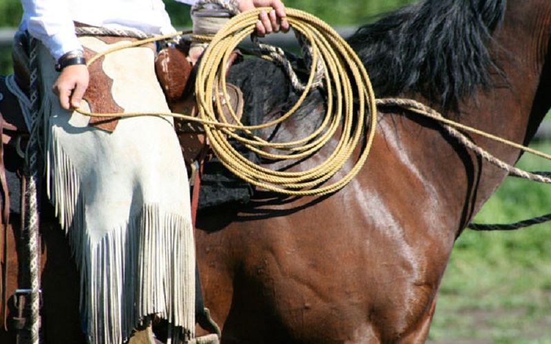  Ranch Cowboy School - Habibi World Travel & Tour America